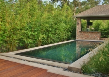Modern-swimming-pool-with-spill-over.-surrounded-by-Bamboo-and-mexican-beach-pebbles